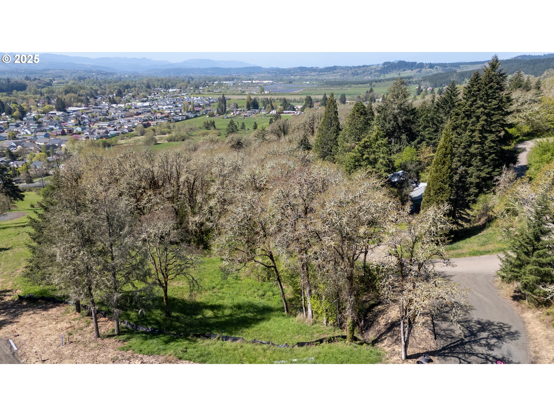 Ne Centre, Unit 1 Sheridan, OR 97378 - Photo 22 of 25 a view of city and mountain
