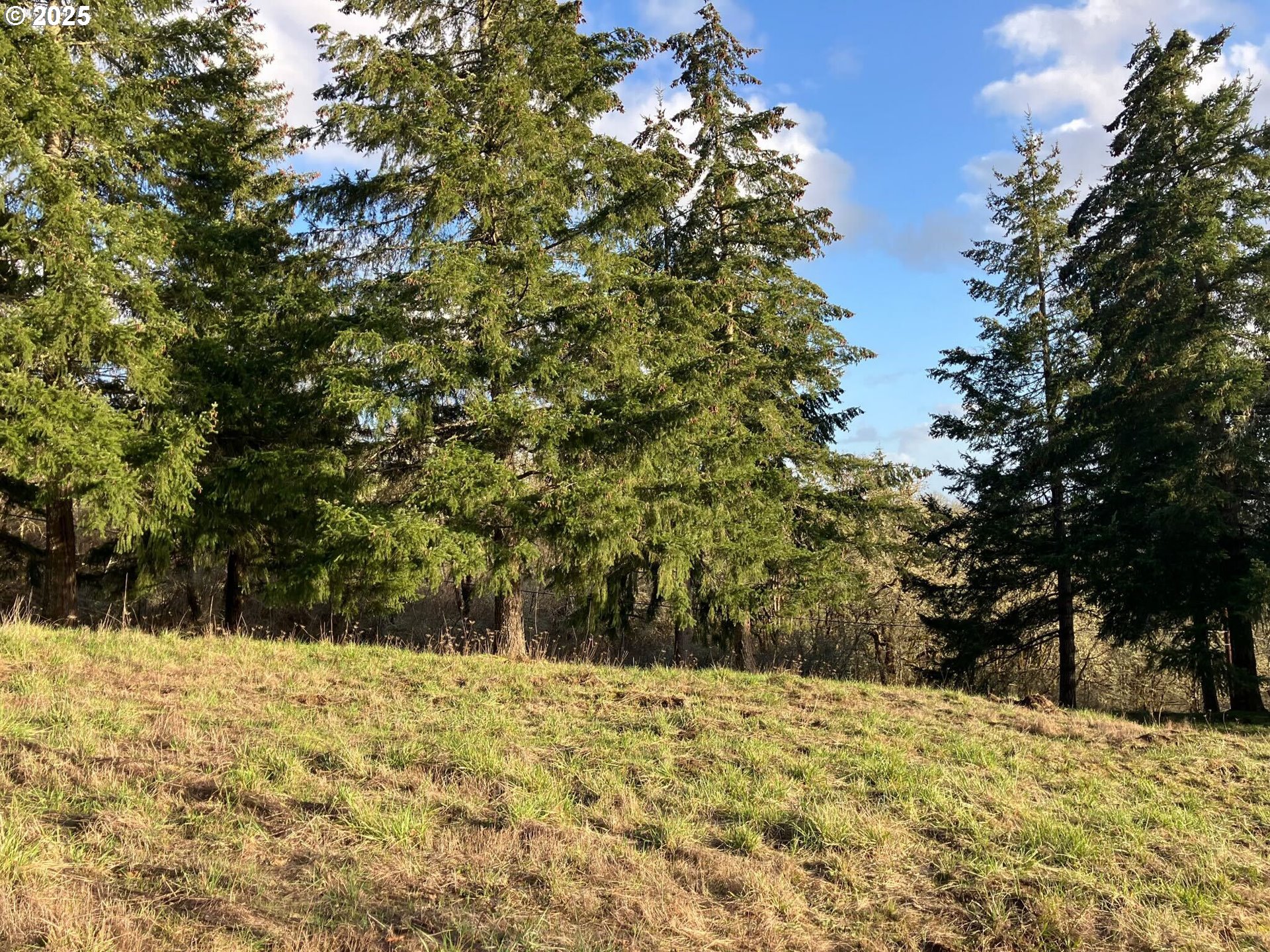Ne Centre, Unit 1 Sheridan, OR 97378 - Photo 6 of 25 a view of a yard covered in snow