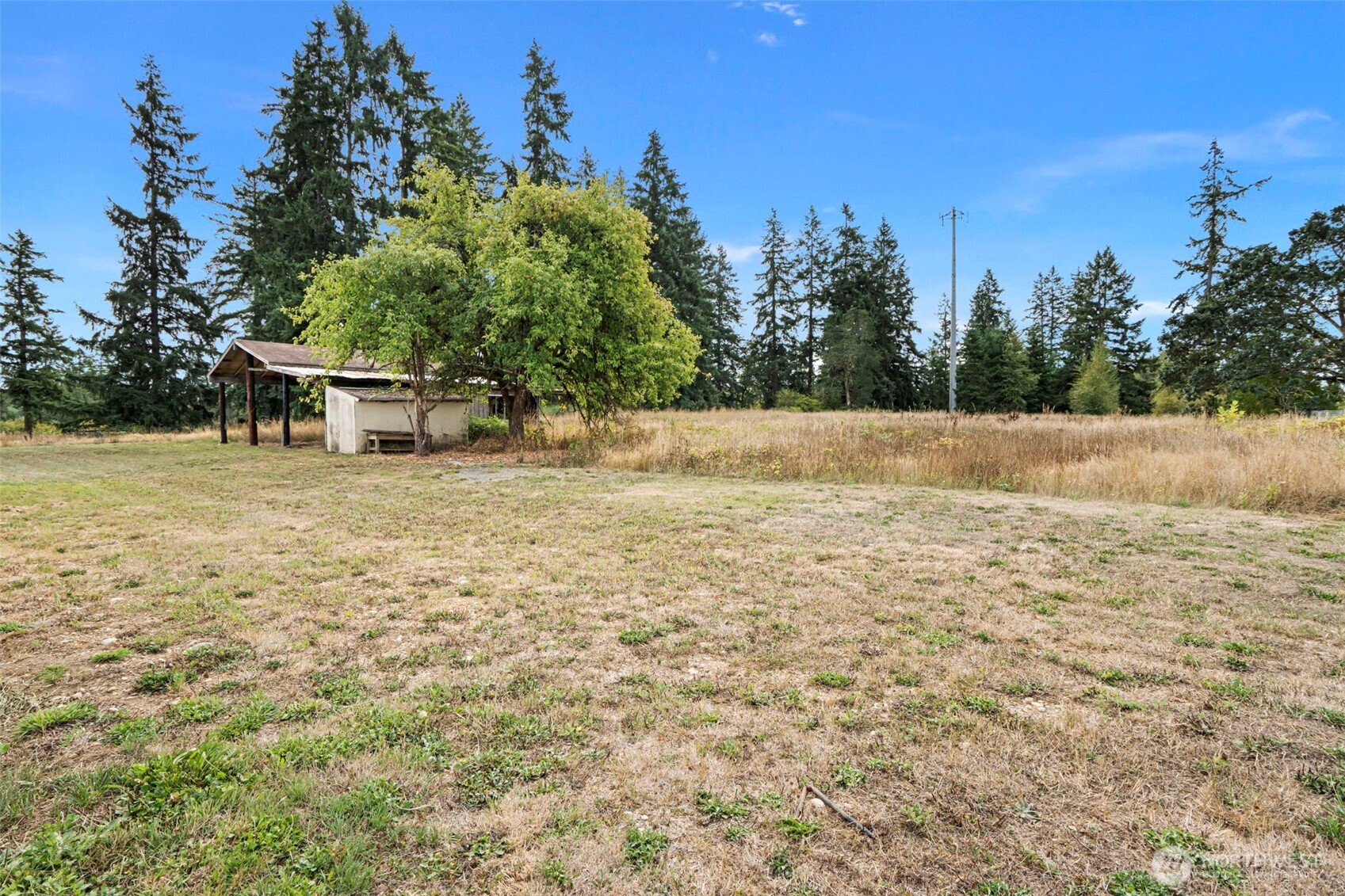 7804 280th Street South Roy, WA 98580 - Photo 27 of 33