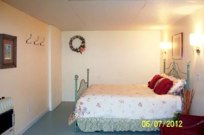 701 3rd Avenue West Springfield, TN 37172 - Photo 14 of 20 LOVELY ROOM DOWNSTAIRS CURRENTLY USED AS GUEST BEDROOM! AGAIN, IT WOULD ALSO BE GREAT AS REC ROOM!