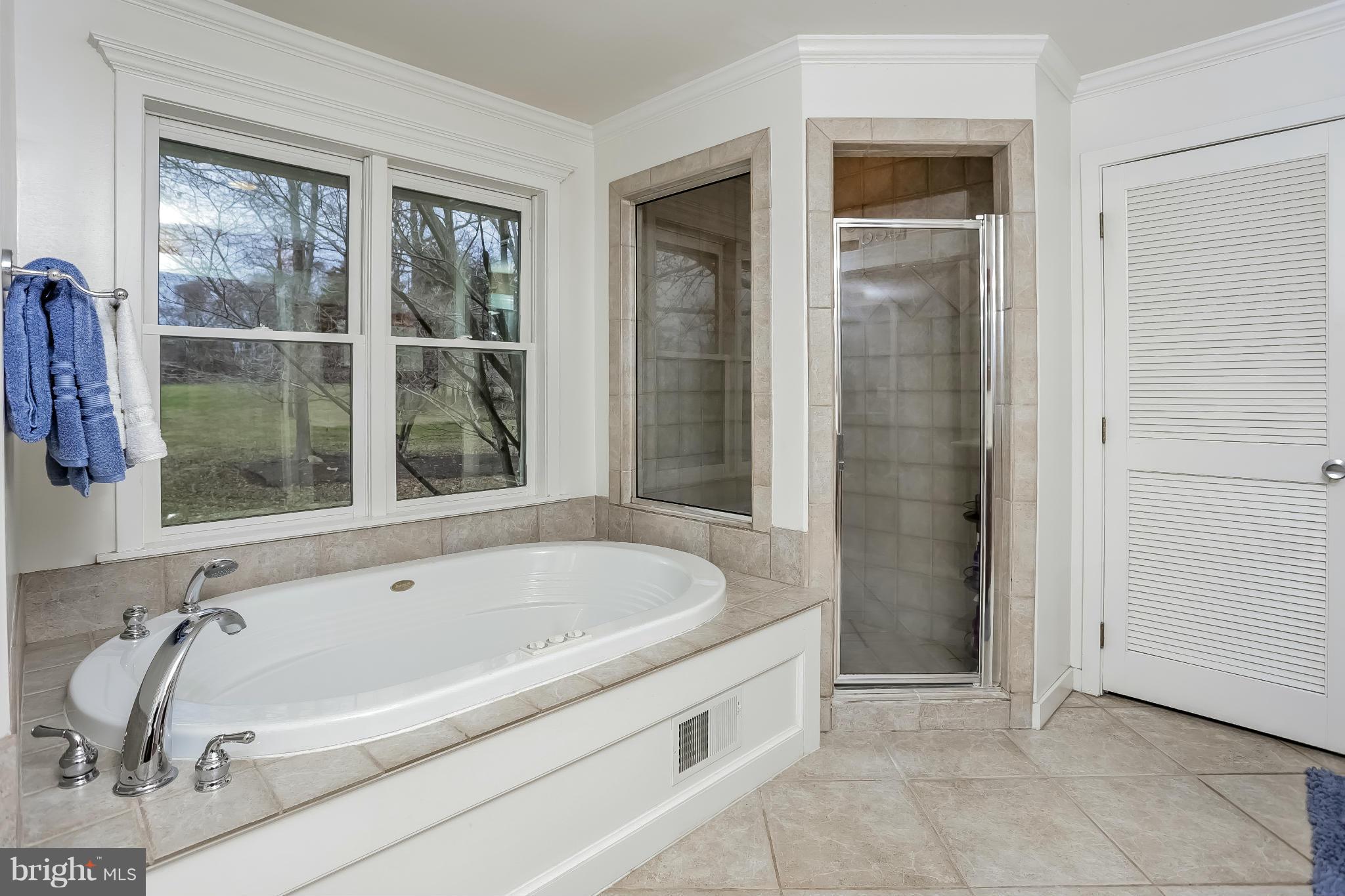 18908 Woodburn Road Leesburg, VA 20175 - Photo 10 of 24 Bath (Master)