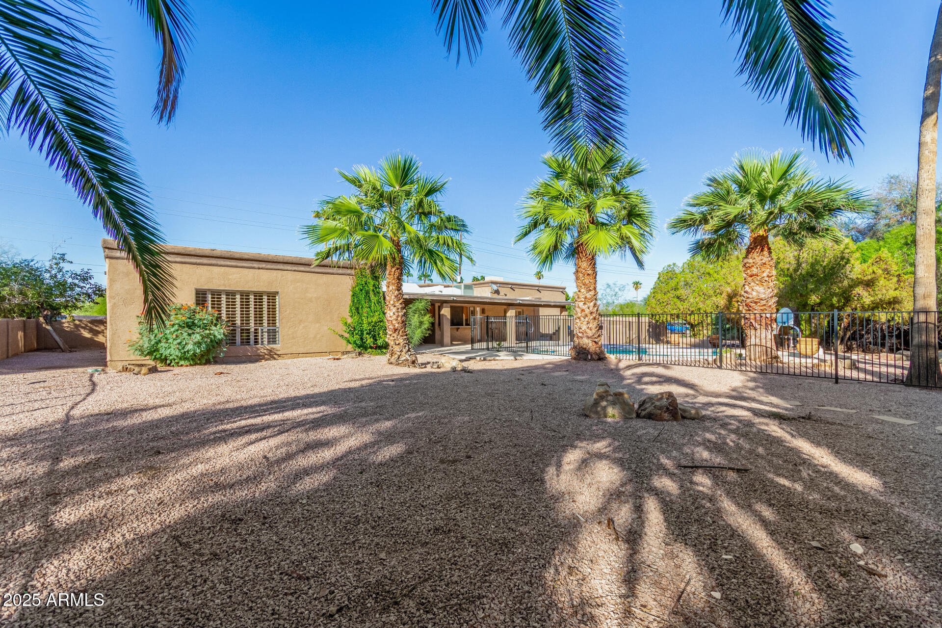 5739 East Cactus Road Scottsdale, AZ 85254 - Photo 43 of 52 a palm tree sitting in front of a house with a yard
