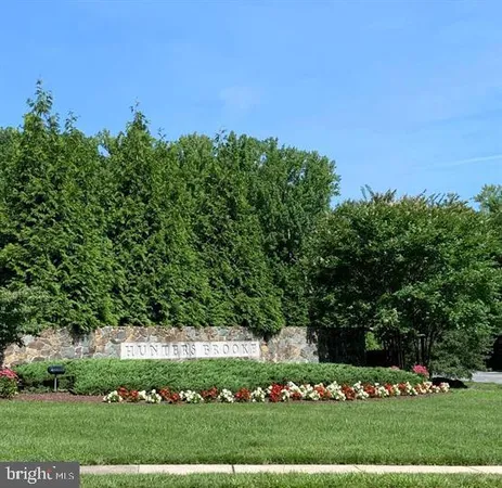 a view of a field with a tree in the background