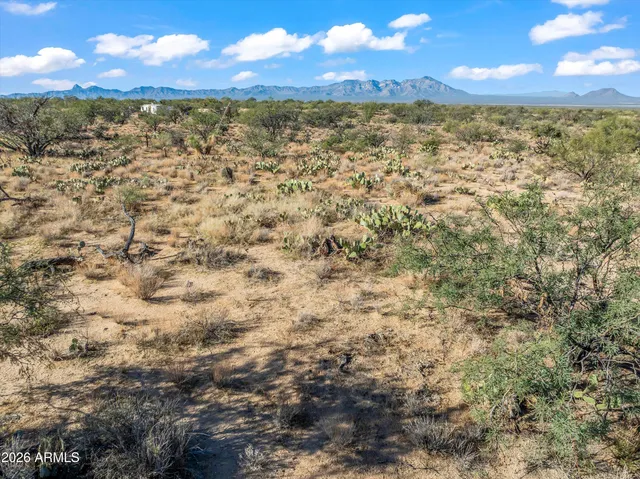 a view of a field with an ocean