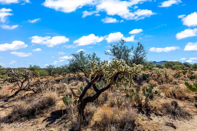 a view of sunset and green space