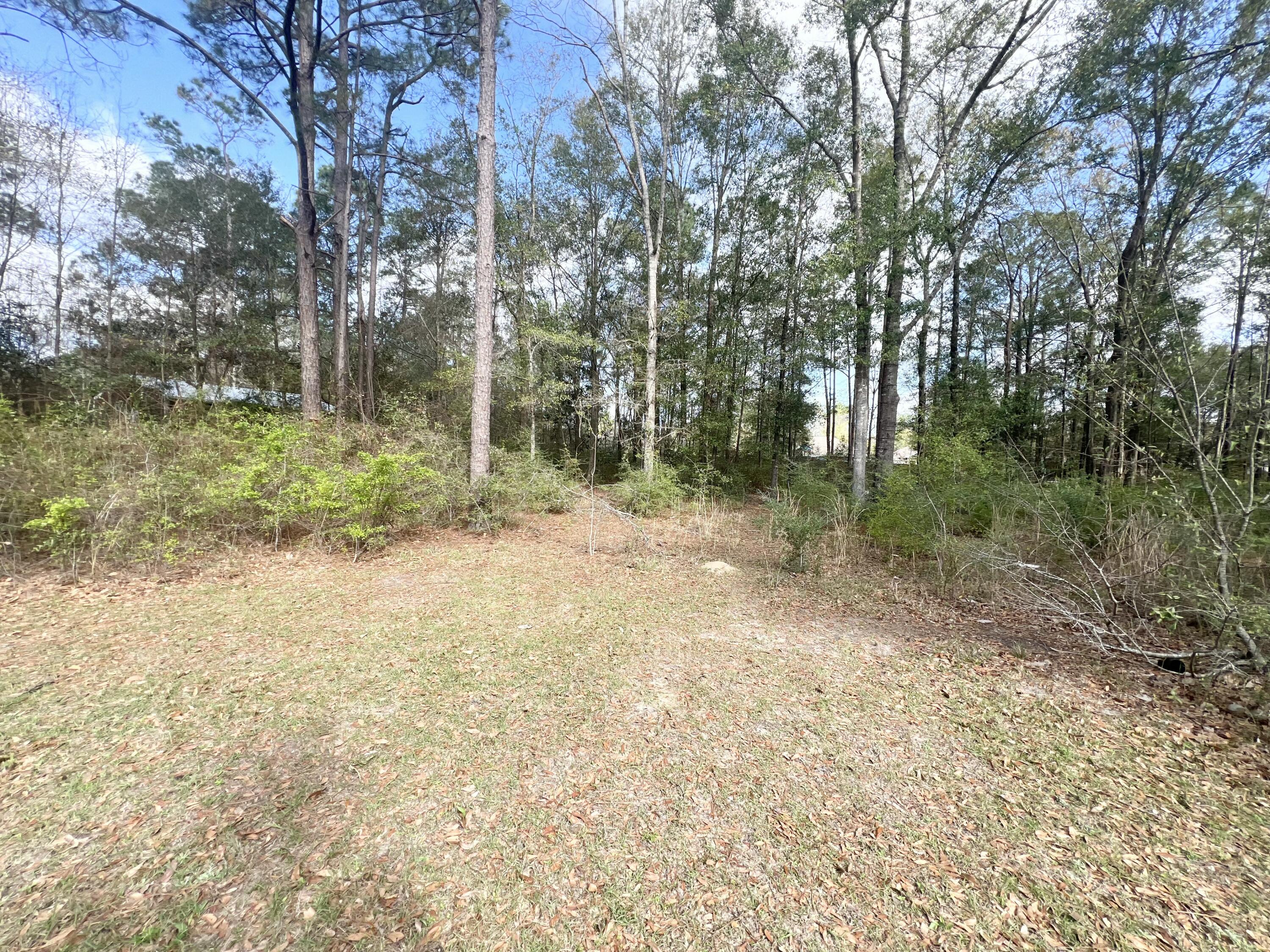3429 Melissa Lane Crestview, FL 32539 - Photo 27 of 28 a view of a yard with trees