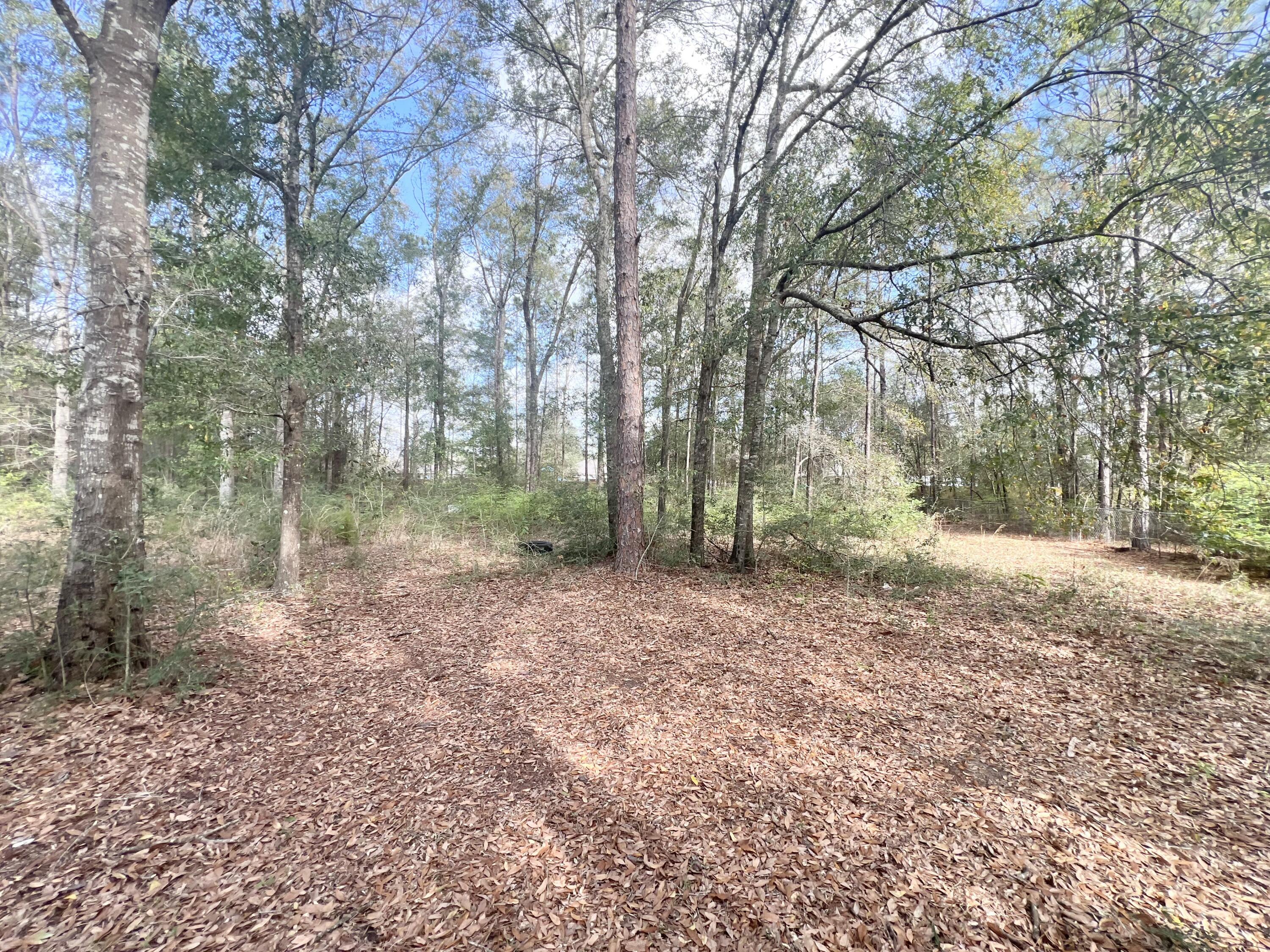 3429 Melissa Lane Crestview, FL 32539 - Photo 28 of 28 a view of a forest with trees