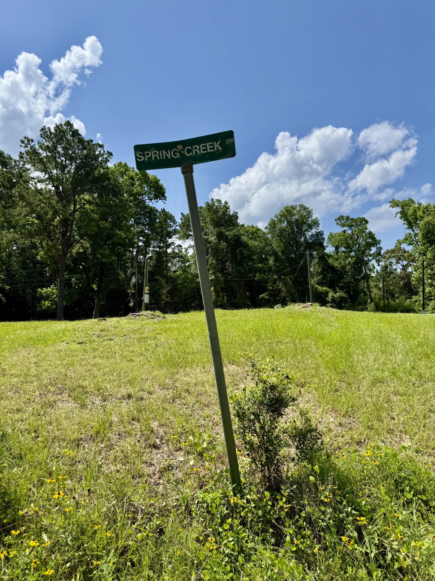Tbd Tbd Spring Creek Drive Coldspring, TX 77331 - Photo 7 of 9