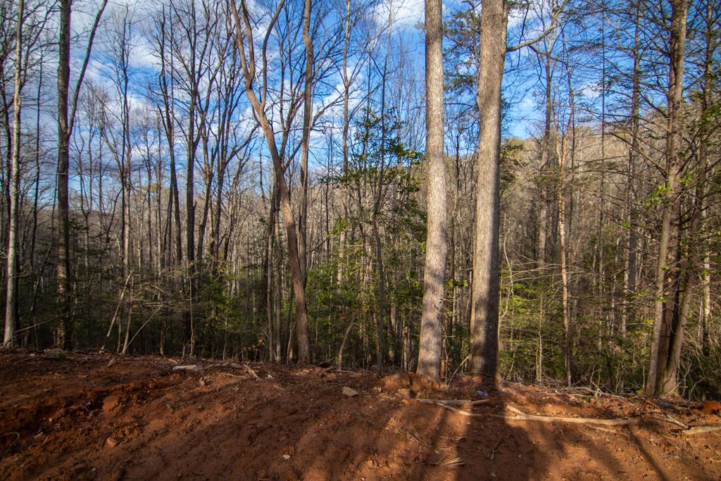 7 Clay's Way Cherry Log, GA 30522 - Photo 4 of 6 a view of outdoor space and yard