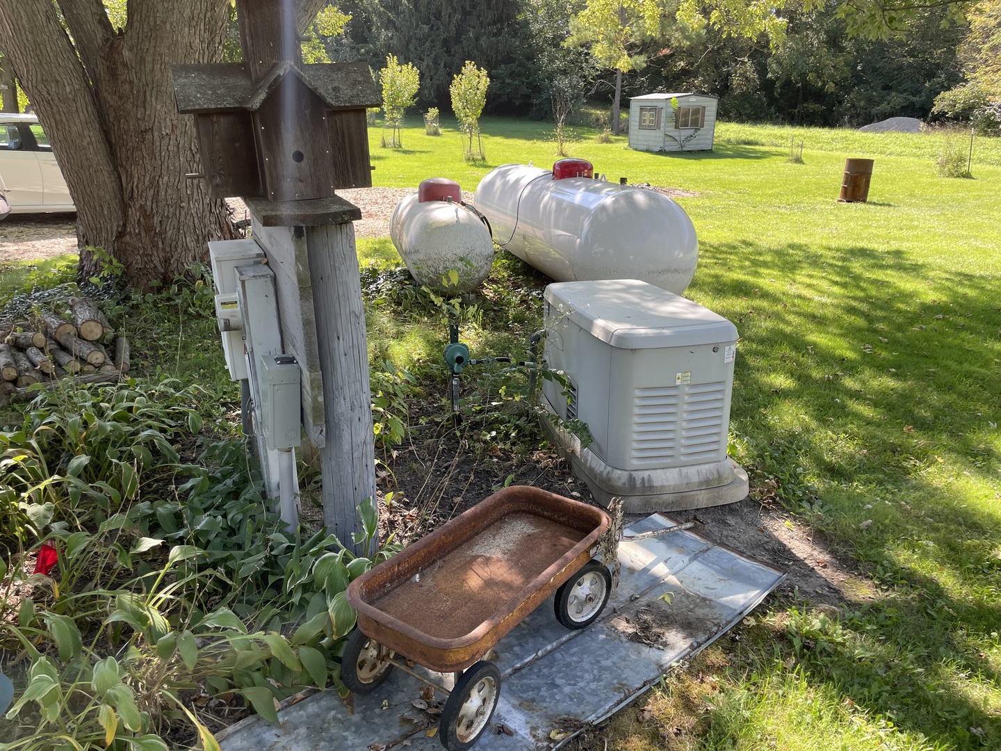 2365 West Southmor Road Morris, IL 60450 - Photo 24 of 25 a view of a backyard with plants