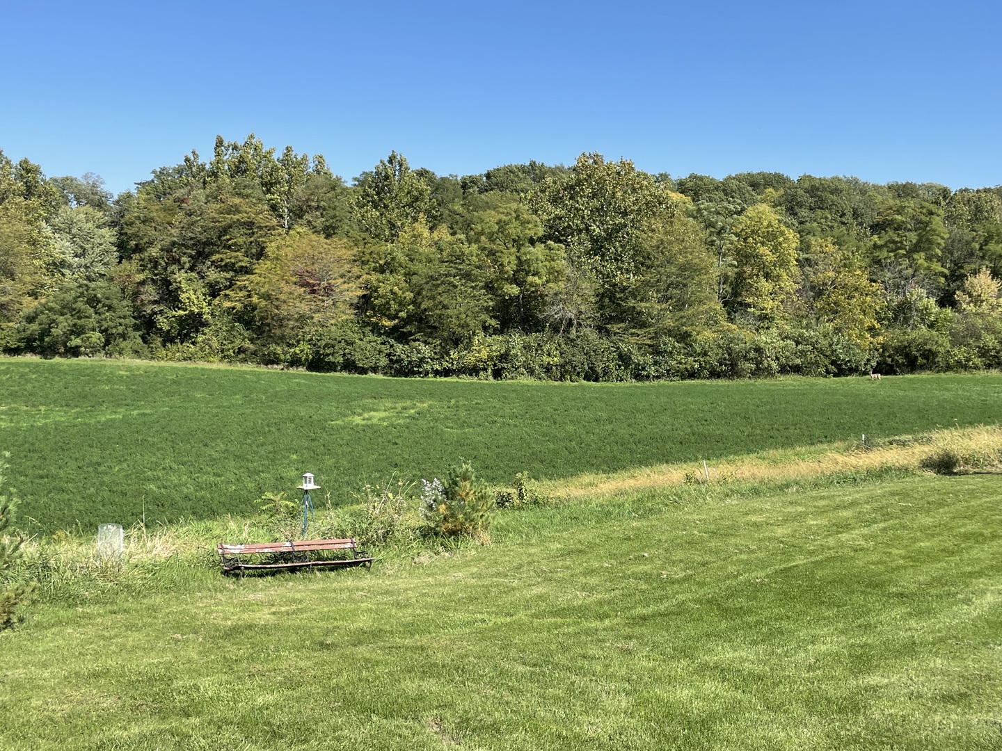2365 West Southmor Road Morris, IL 60450 - Photo 5 of 25 a view of a golf course with a lake