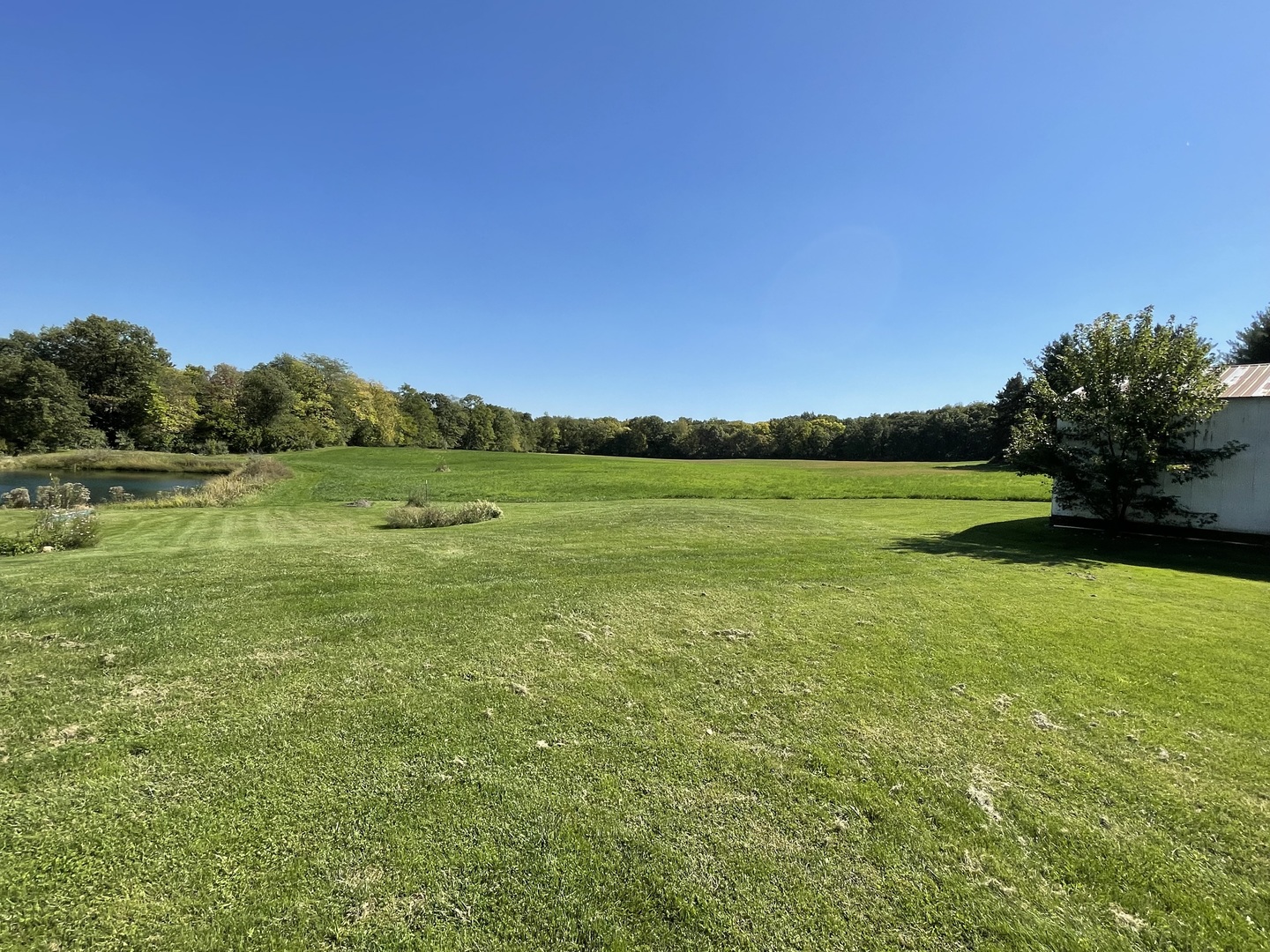 2365 West Southmor Road Morris, IL 60450 - Photo 7 of 25 a view of a big yard with a large trees