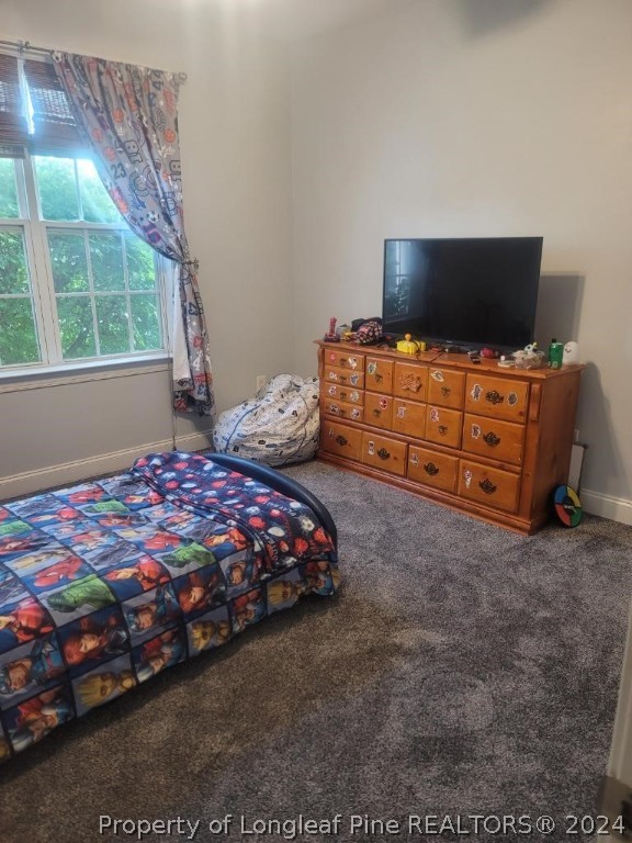 5228 Spreading Branch Road Hope Mills, NC 28348 - Photo 24 of 37 Gallery Image 24
