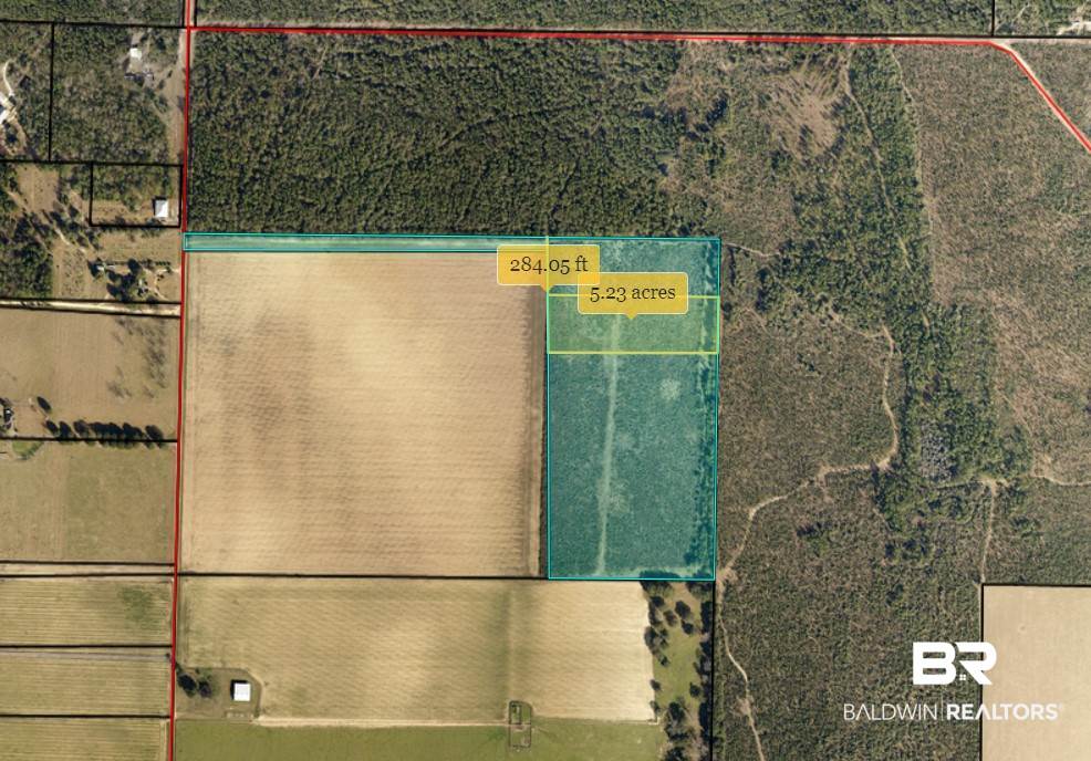 5496 Woodpecker Road Milton, FL 32570 - Photo 5 of 6