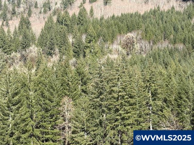 0 Logsden Road Blodgett, OR 97326 - Photo 8 of 24