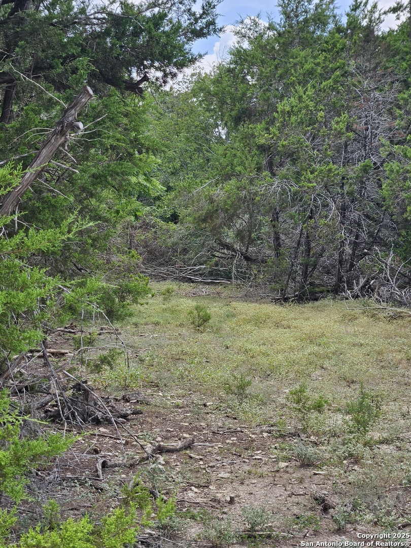 21 Wasp Creek Road Boerne, TX 78006 - Photo 24 of 25