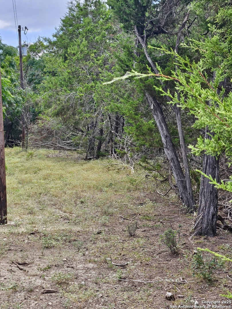 21 Wasp Creek Road Boerne, TX 78006 - Photo 25 of 25