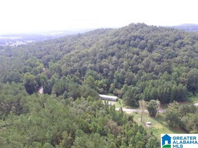 1980 Dripping Rock Road, Unit 20 50 AC Piedmont, AL 36272 - Photo 4 of 19