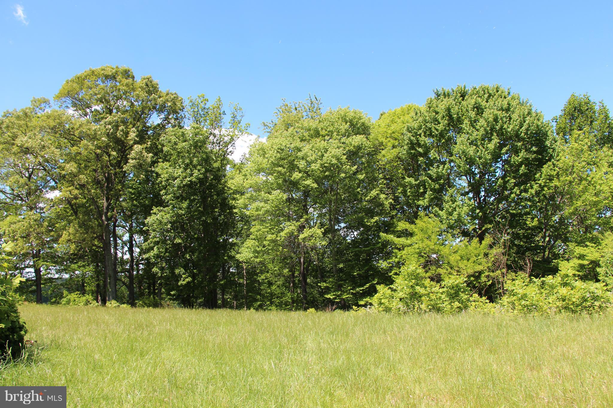 3025 Holland Cliffs Road Huntingtown, MD 20639 - Photo 2 of 12 a view of a yard