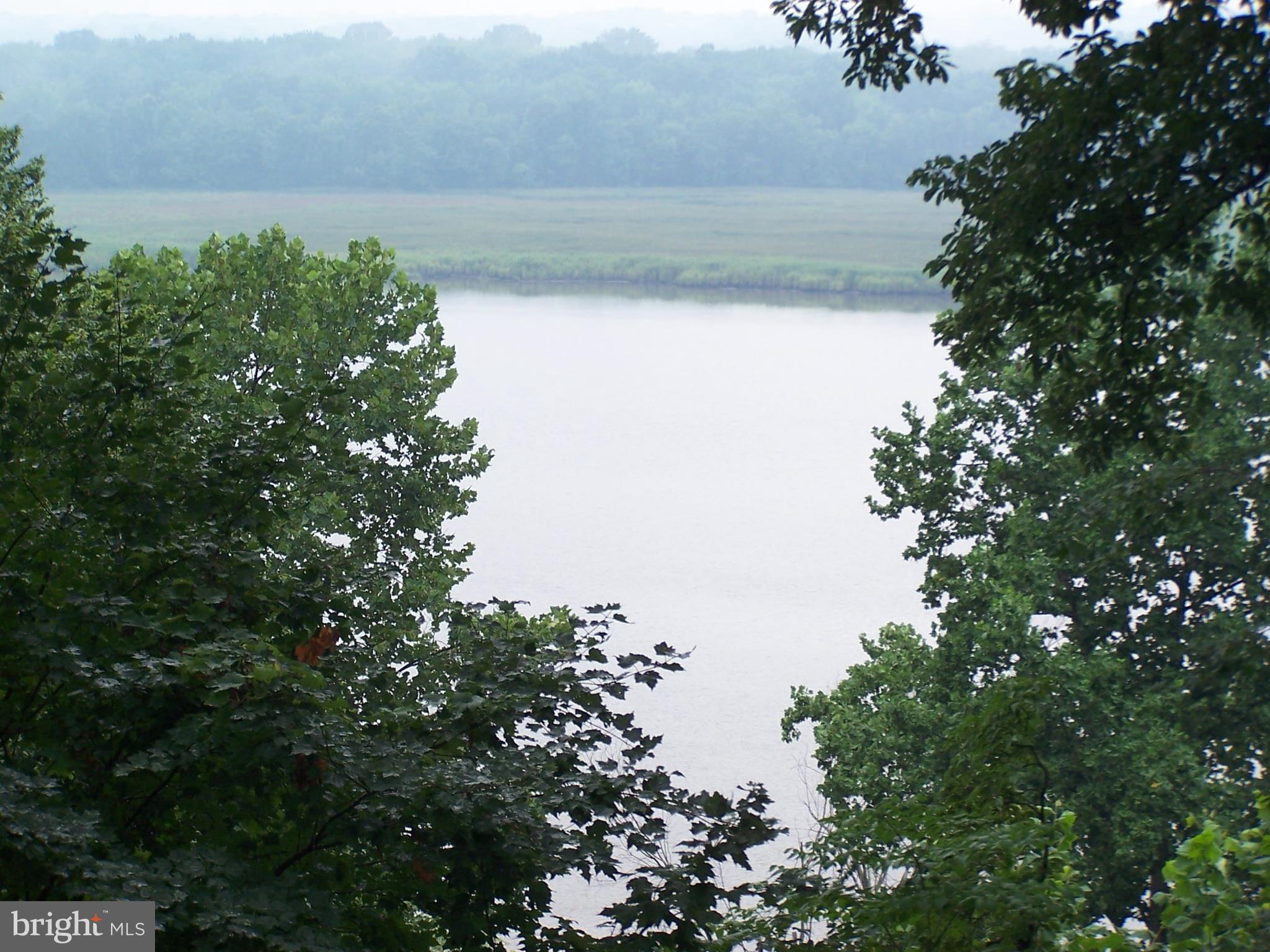 3025 Holland Cliffs Road Huntingtown, MD 20639 - Photo 5 of 12 a view of a yard