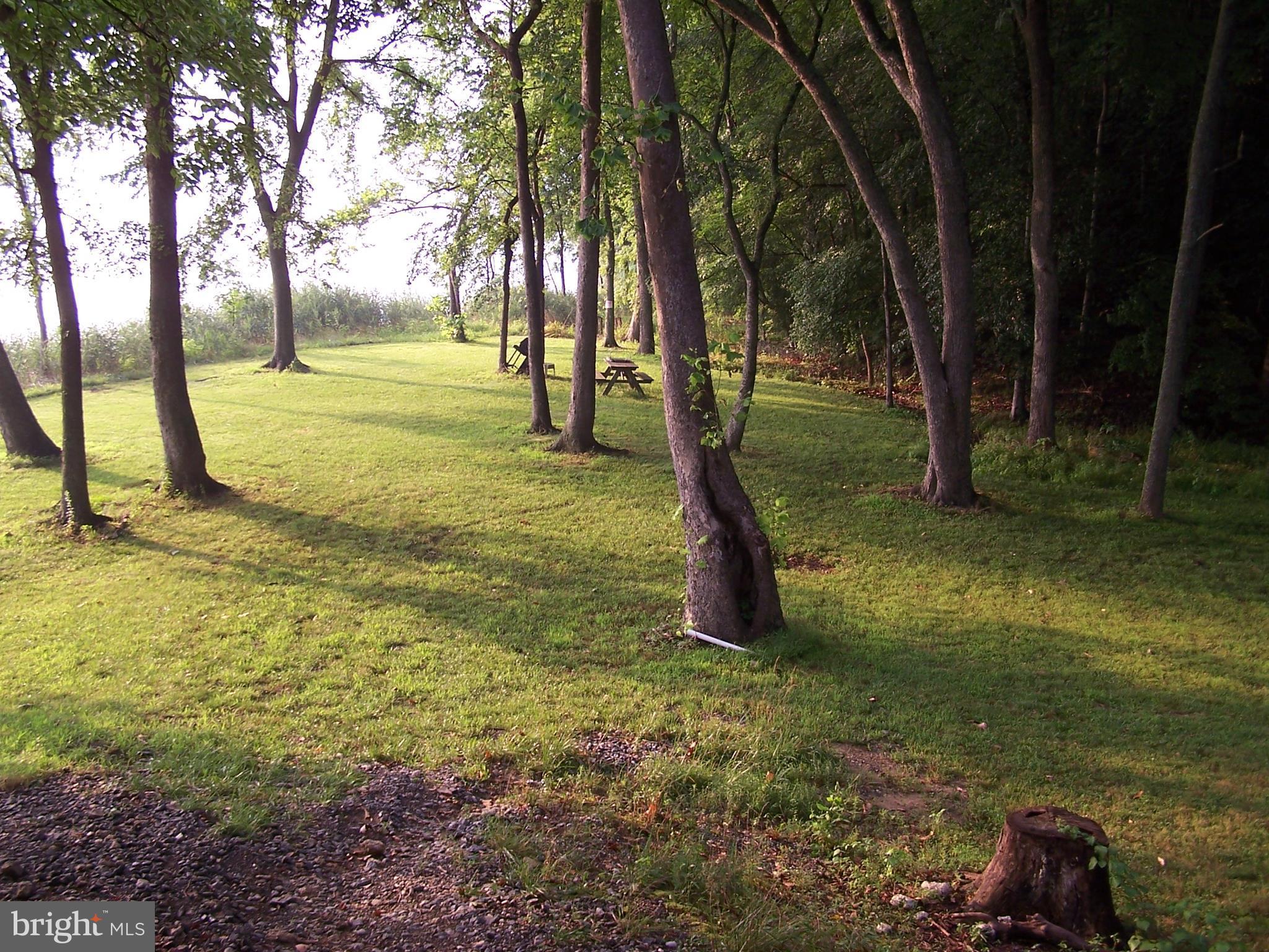 3025 Holland Cliffs Road Huntingtown, MD 20639 - Photo 7 of 12 a view of a yard with a tree