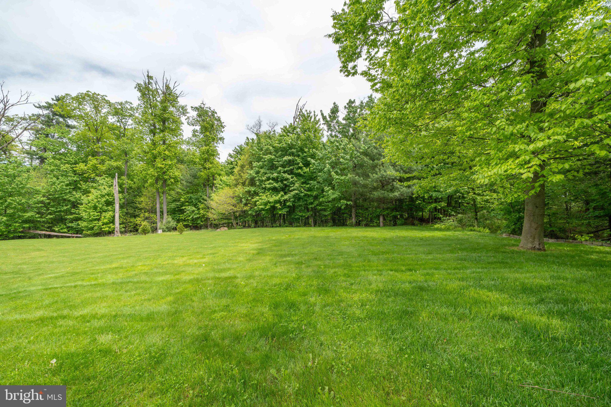 2201 Blain Road Loysville, PA 17047 - Photo 75 of 89 Lush green expanse meets serene woods.