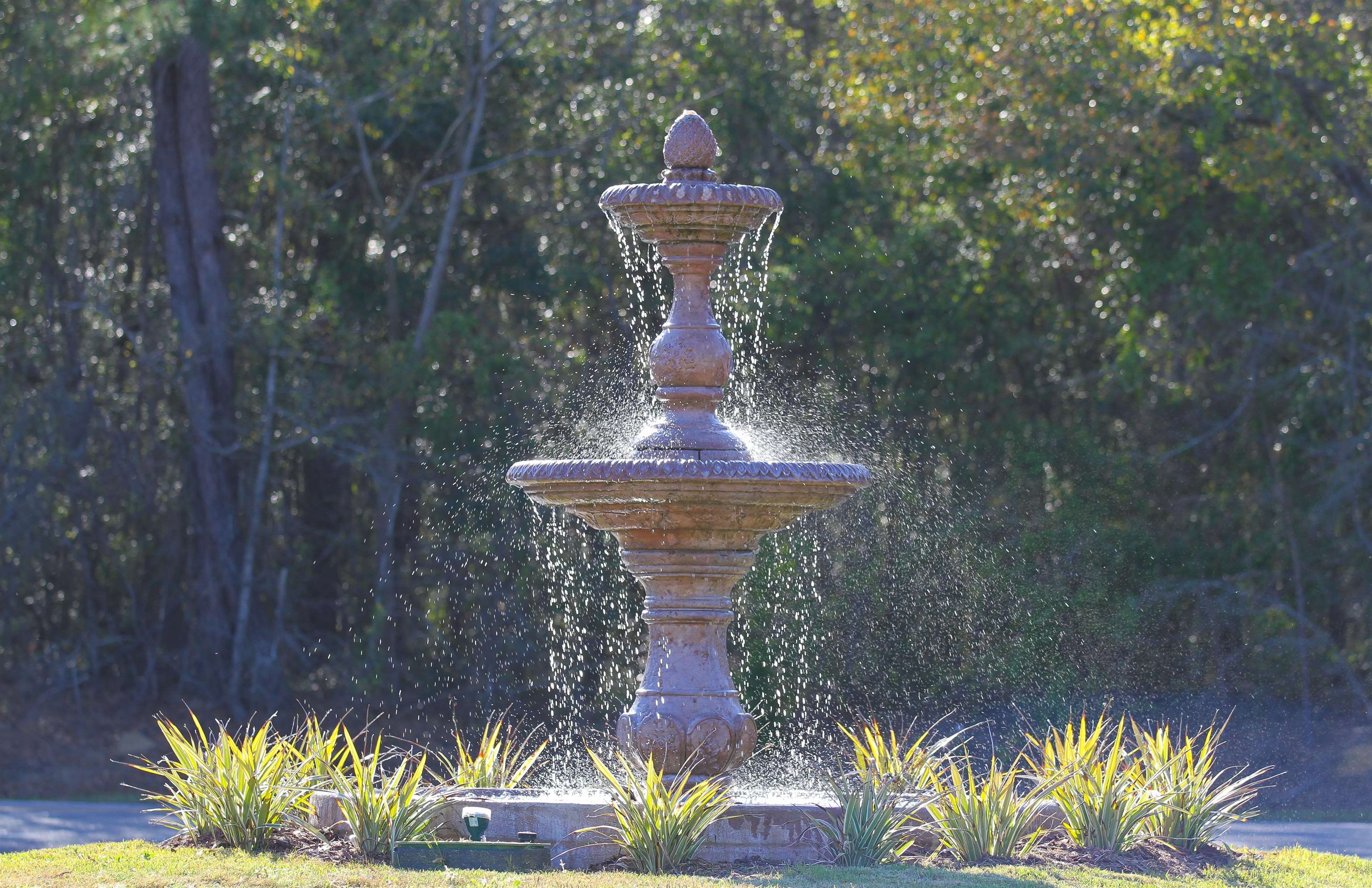 300 Lagrange Road Georgetown, SC 29440 - Photo 12 of 24