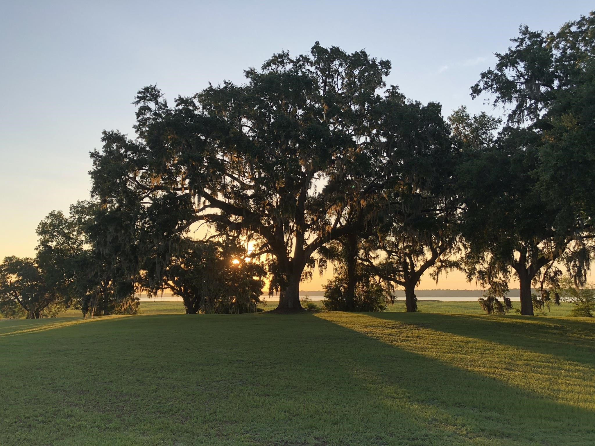 300 Lagrange Road Georgetown, SC 29440 - Photo 16 of 24