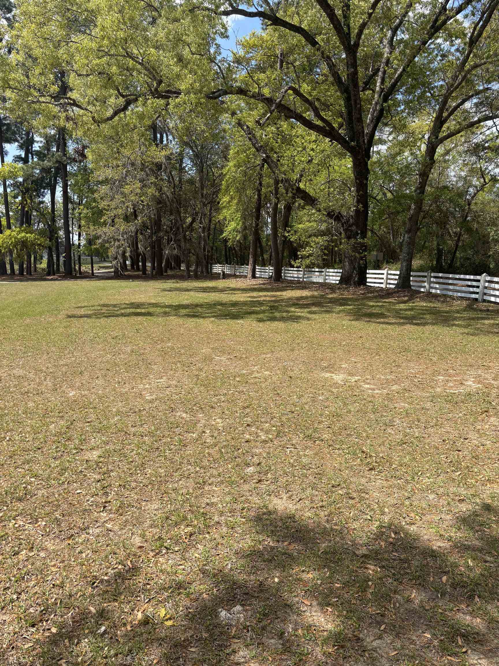 300 Lagrange Road Georgetown, SC 29440 - Photo 5 of 24