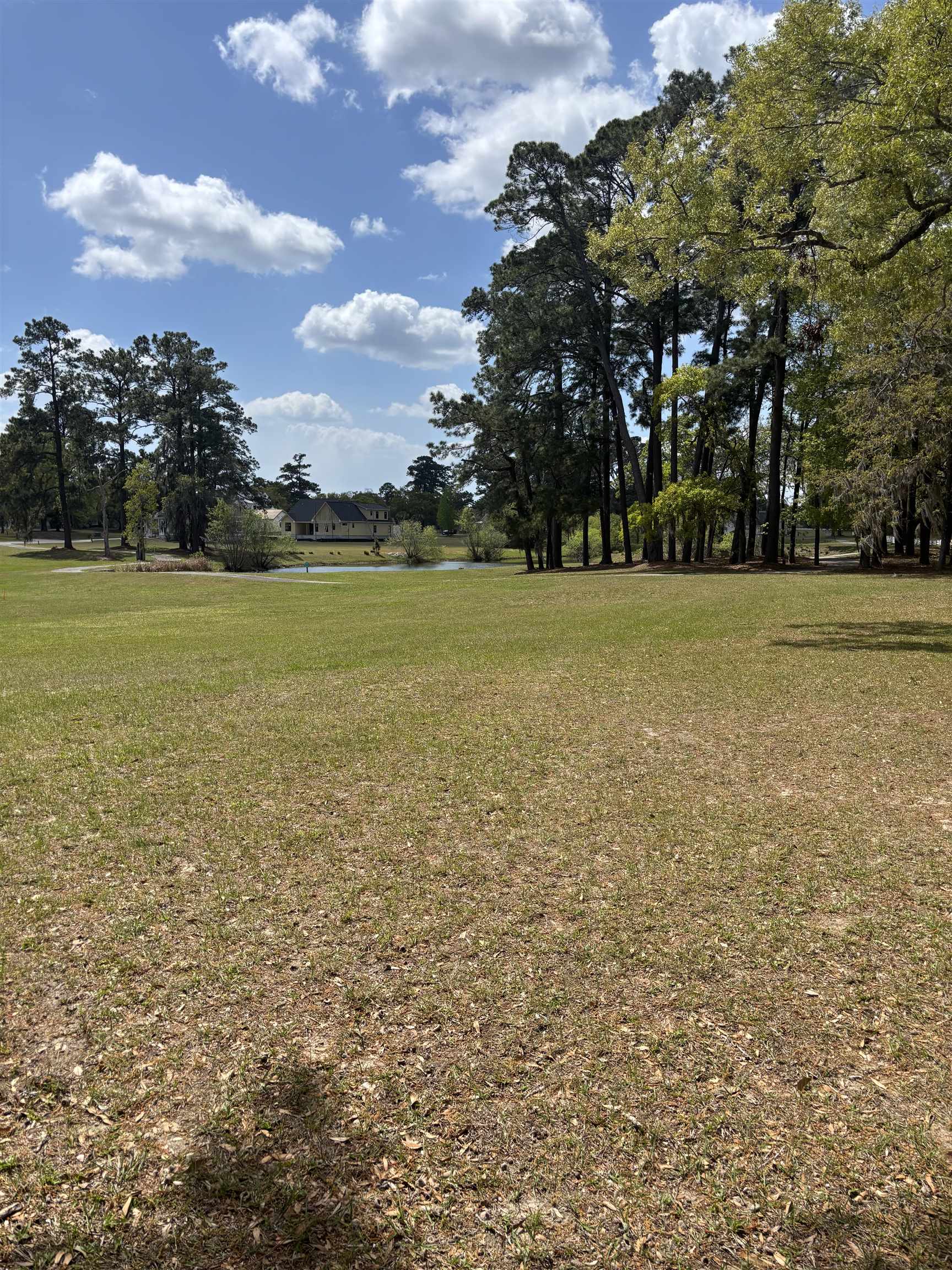 300 Lagrange Road Georgetown, SC 29440 - Photo 6 of 24