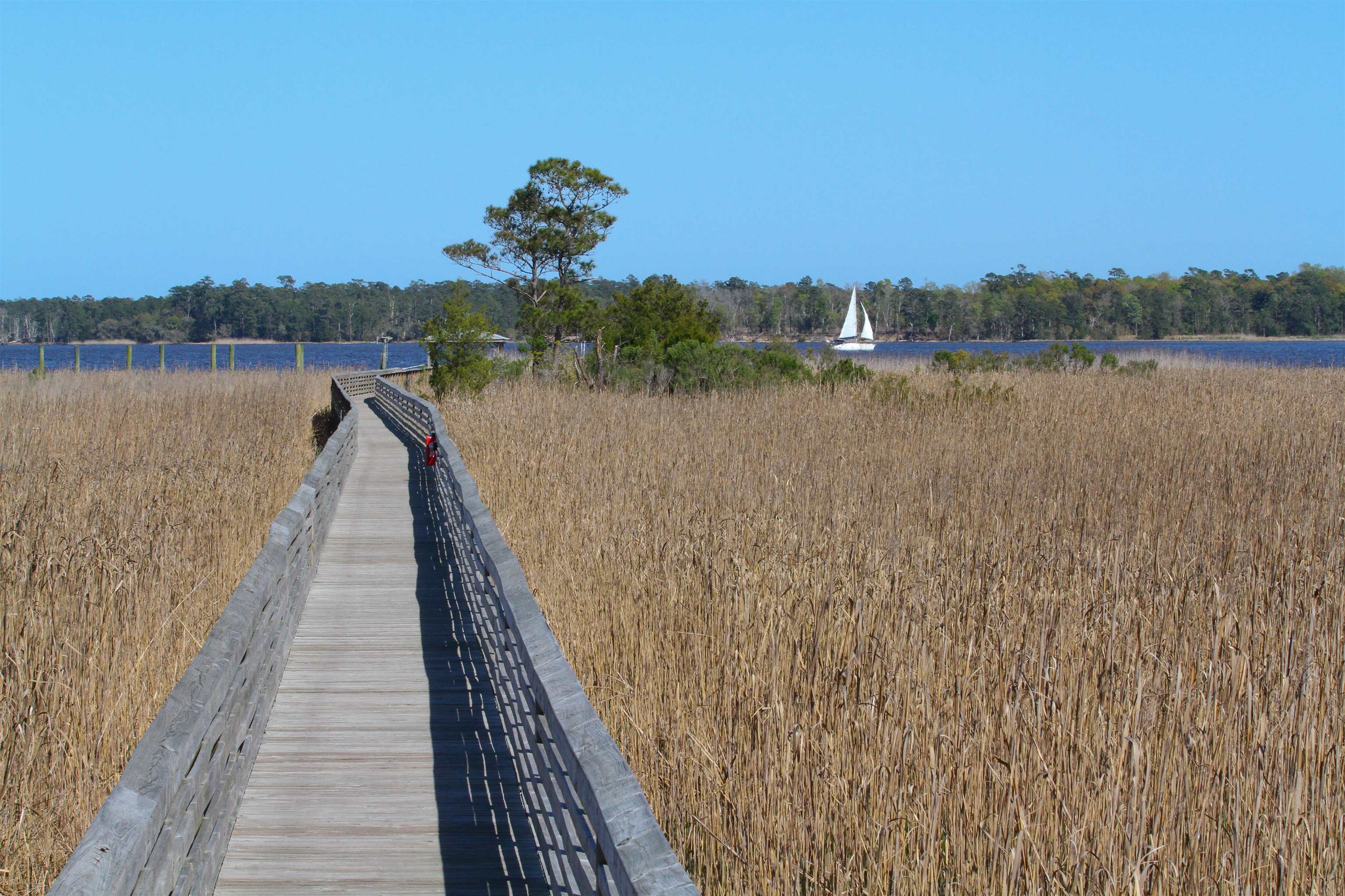300 Lagrange Road Georgetown, SC 29440 - Photo 9 of 24