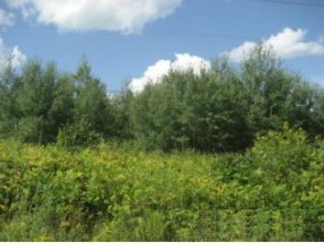 A1 Palmquist Road Hurley, WI 54534 - Photo 2 of 6 Gallery Image 2
