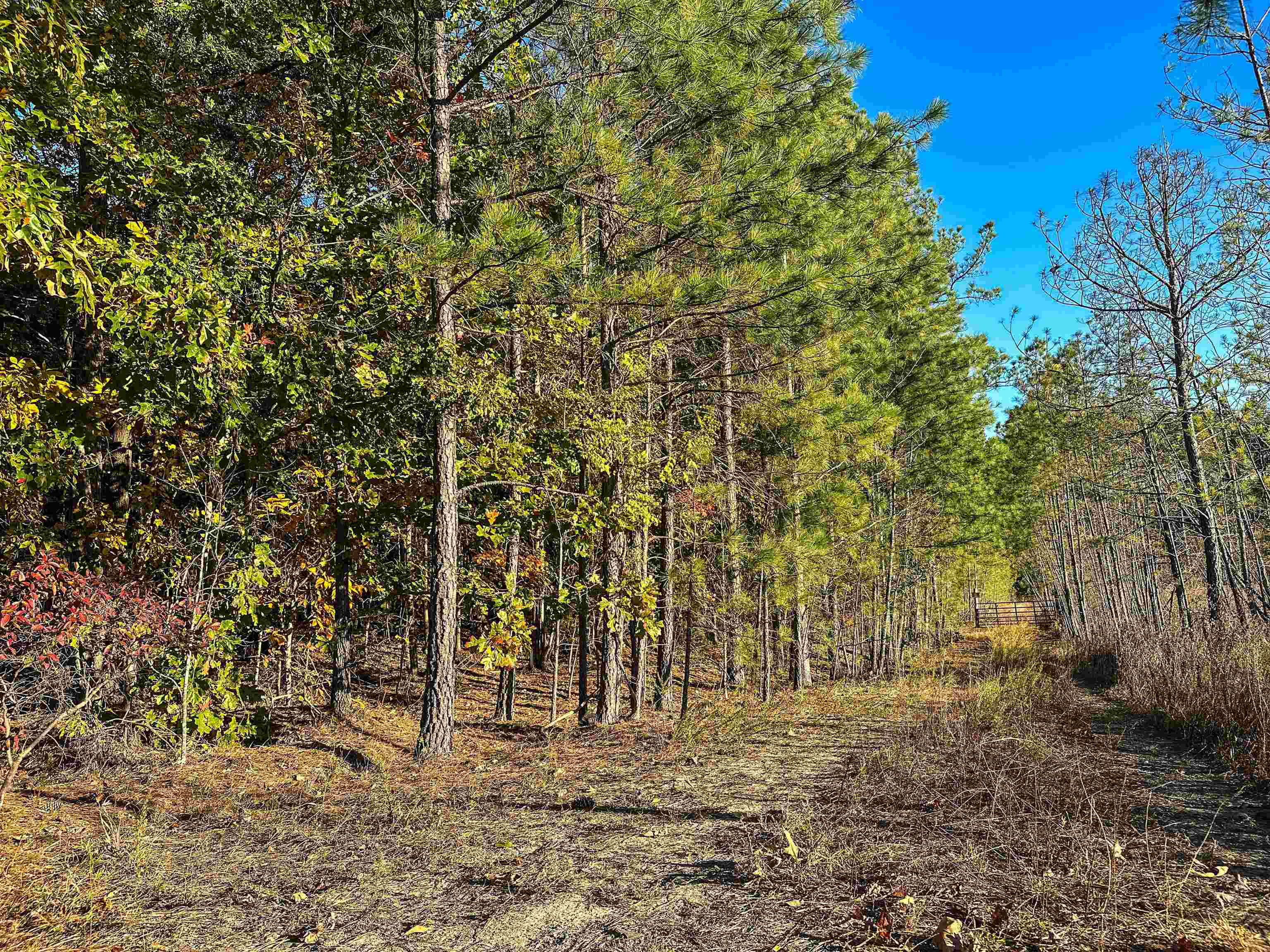 Tbd Central Plains Road Palmyra, VA 22963 - Photo 13 of 40 Gallery Image 13
