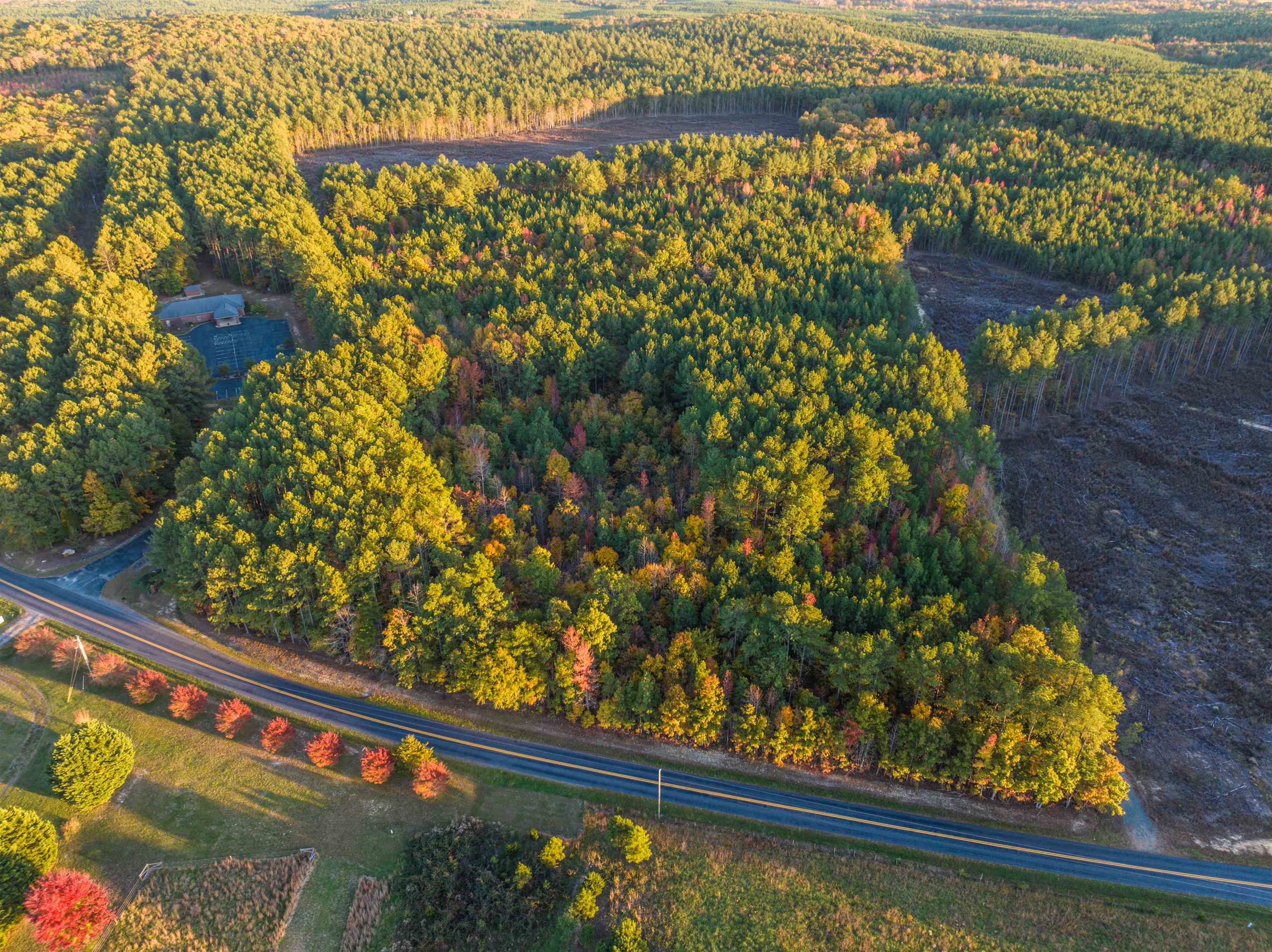 Tbd Central Plains Road Palmyra, VA 22963 - Photo 3 of 40 Gallery Image 3