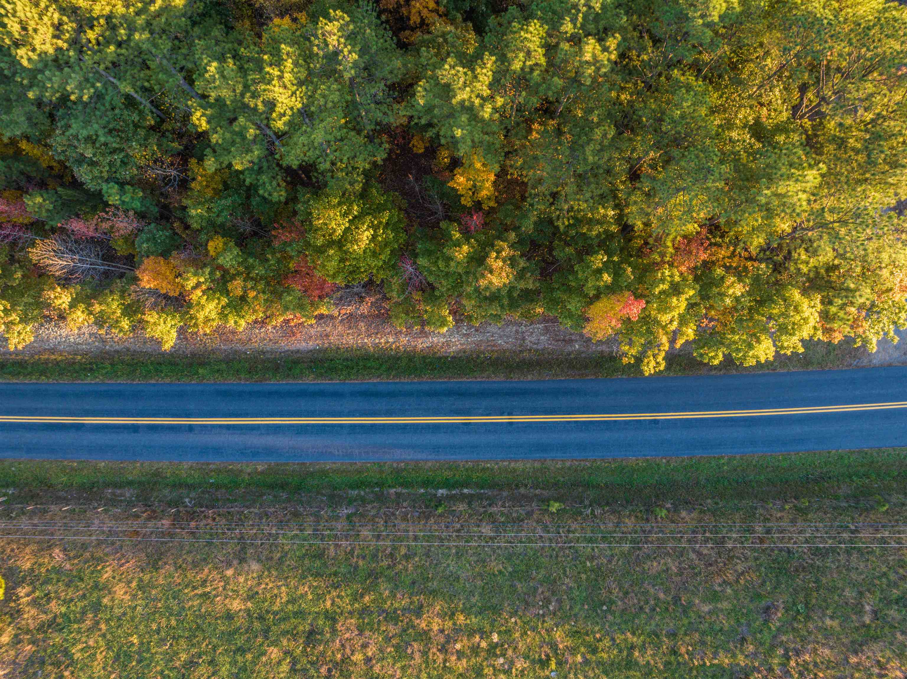 Tbd Central Plains Road Palmyra, VA 22963 - Photo 4 of 40 Gallery Image 4