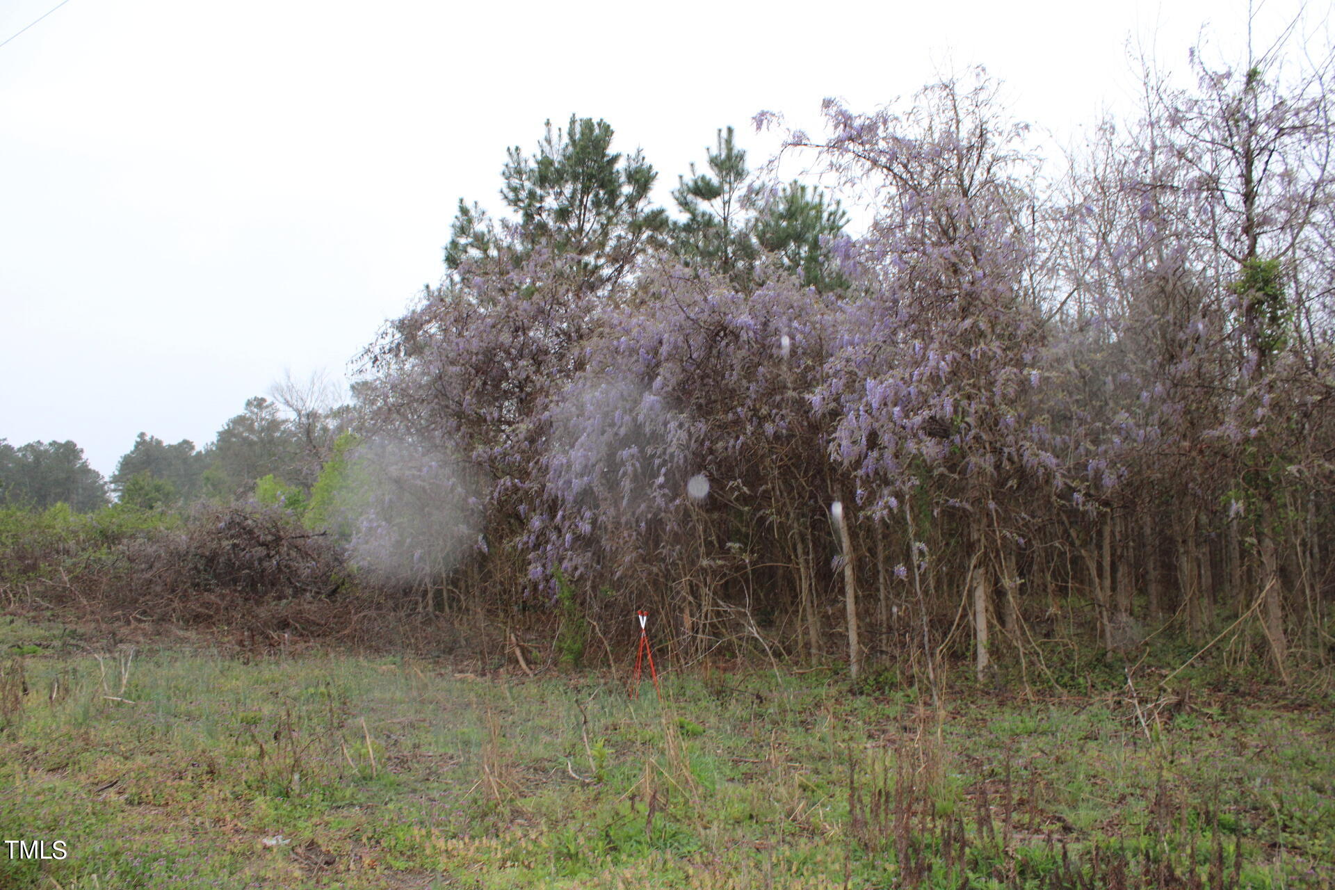 A Drake Road Battleboro, NC 27809 - Photo 12 of 17 IMG_1165
