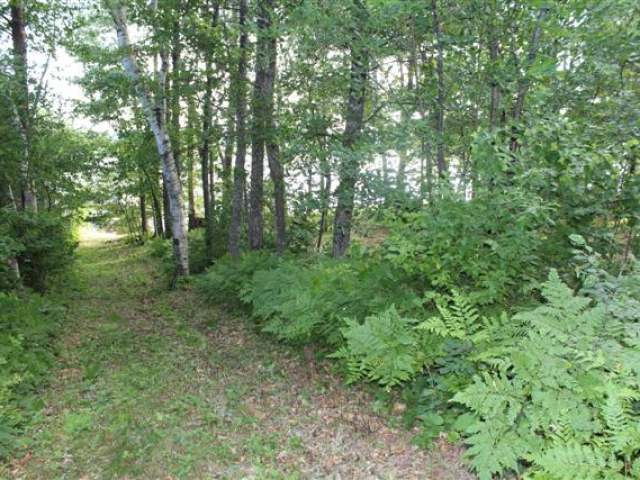 On Camp Rice Point Road, Unit LOT #4 Tomahawk, WI 54487 - Photo 13 of 15 Gallery Image 13