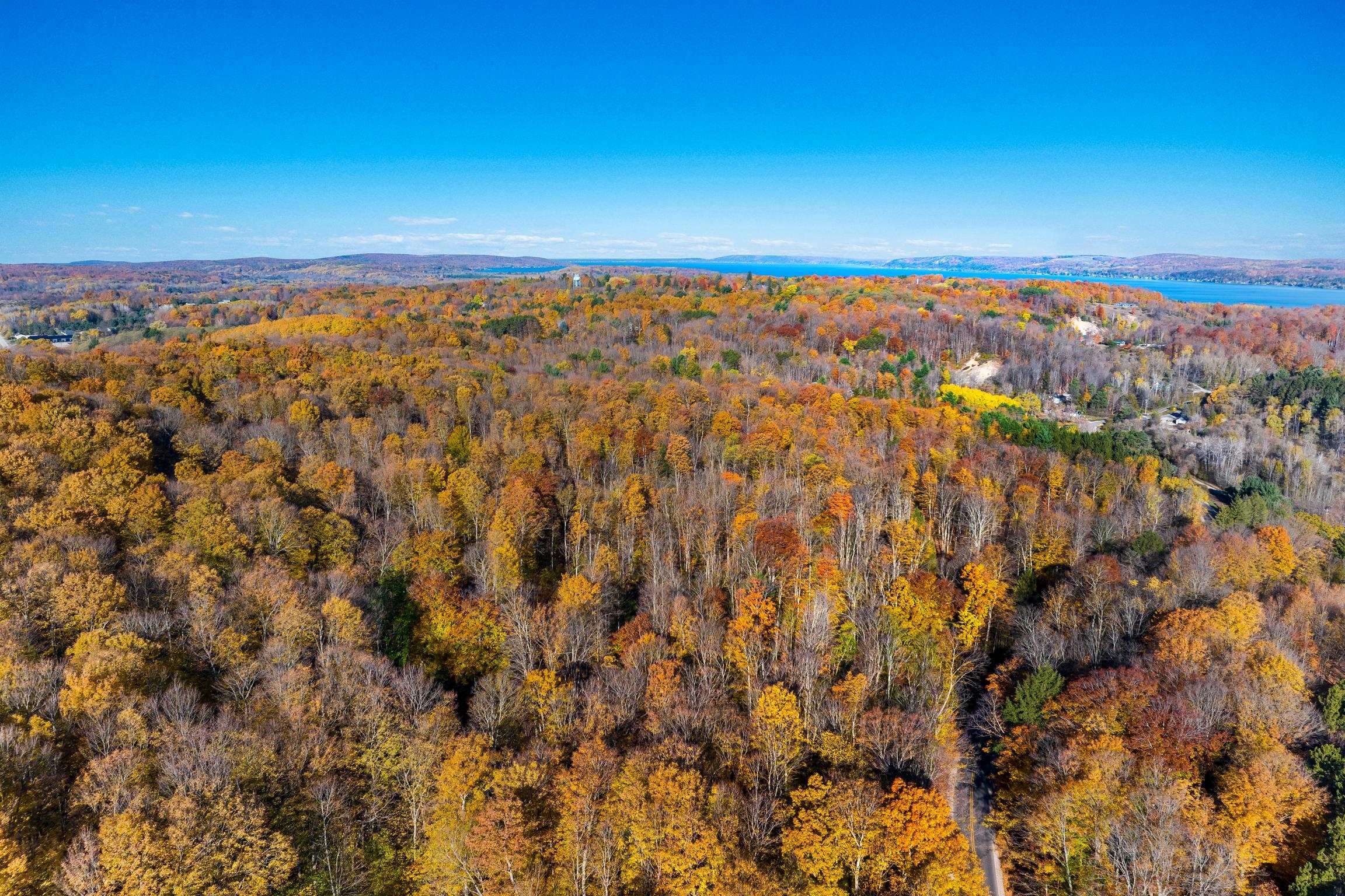 1452 Case Road Benzonia, MI 49616 - Photo 4 of 16