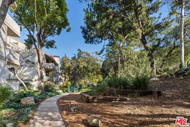 a view of a grassy field with trees in the background