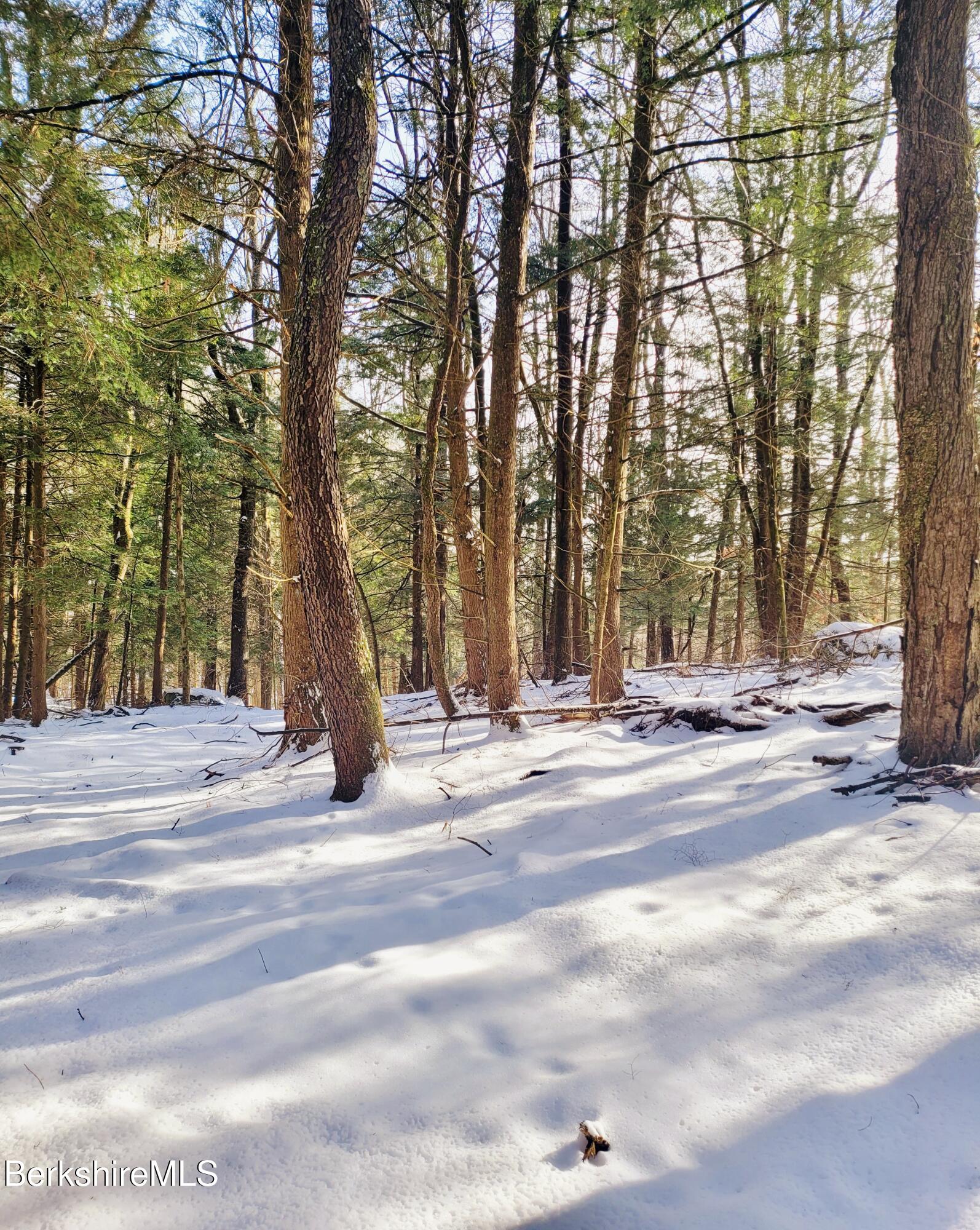 Lot 2 Leland Road Becket, MA 01223 - Photo 14 of 25 Level and open forest