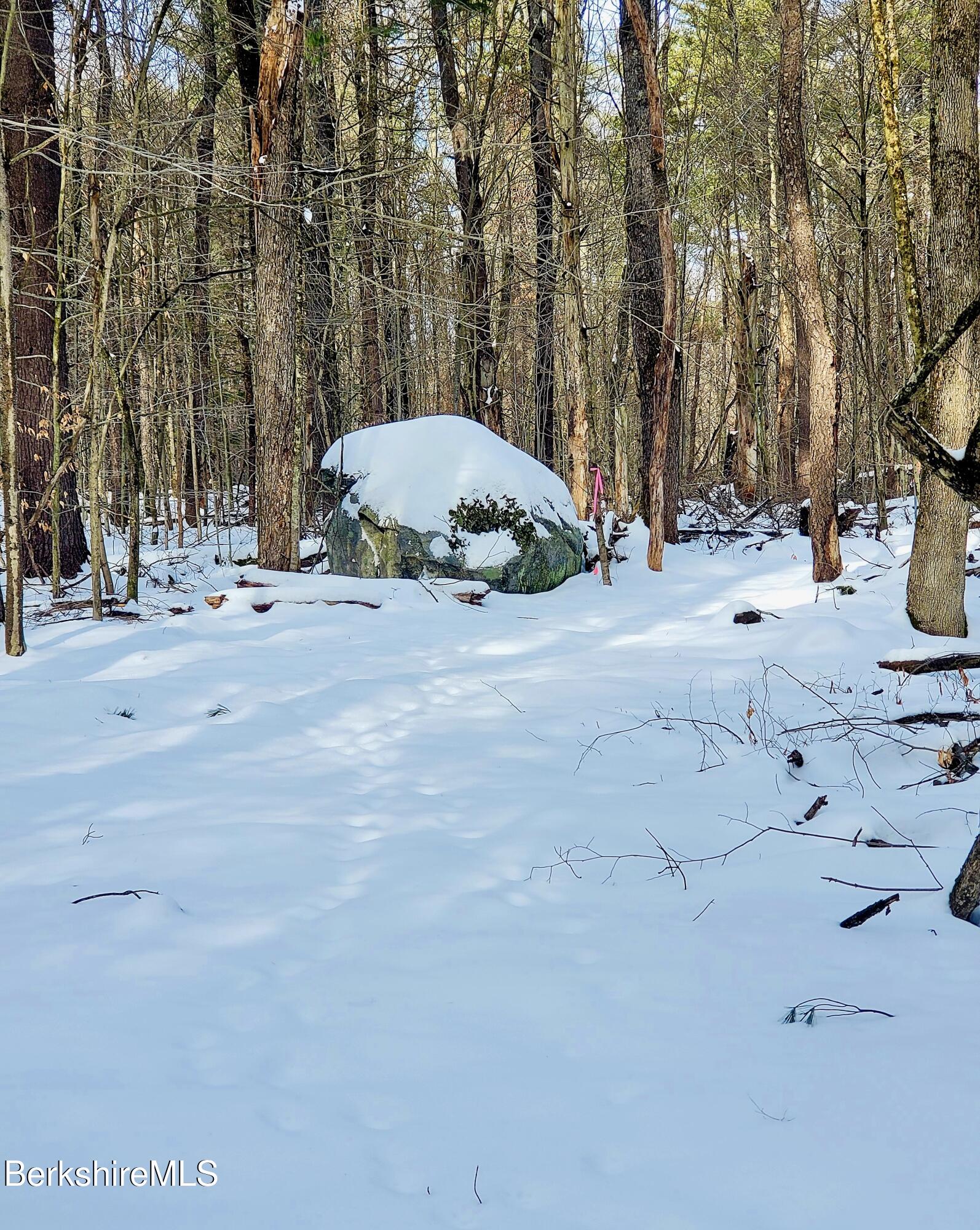 Lot 2 Leland Road Becket, MA 01223 - Photo 16 of 25 Large glacial boulder