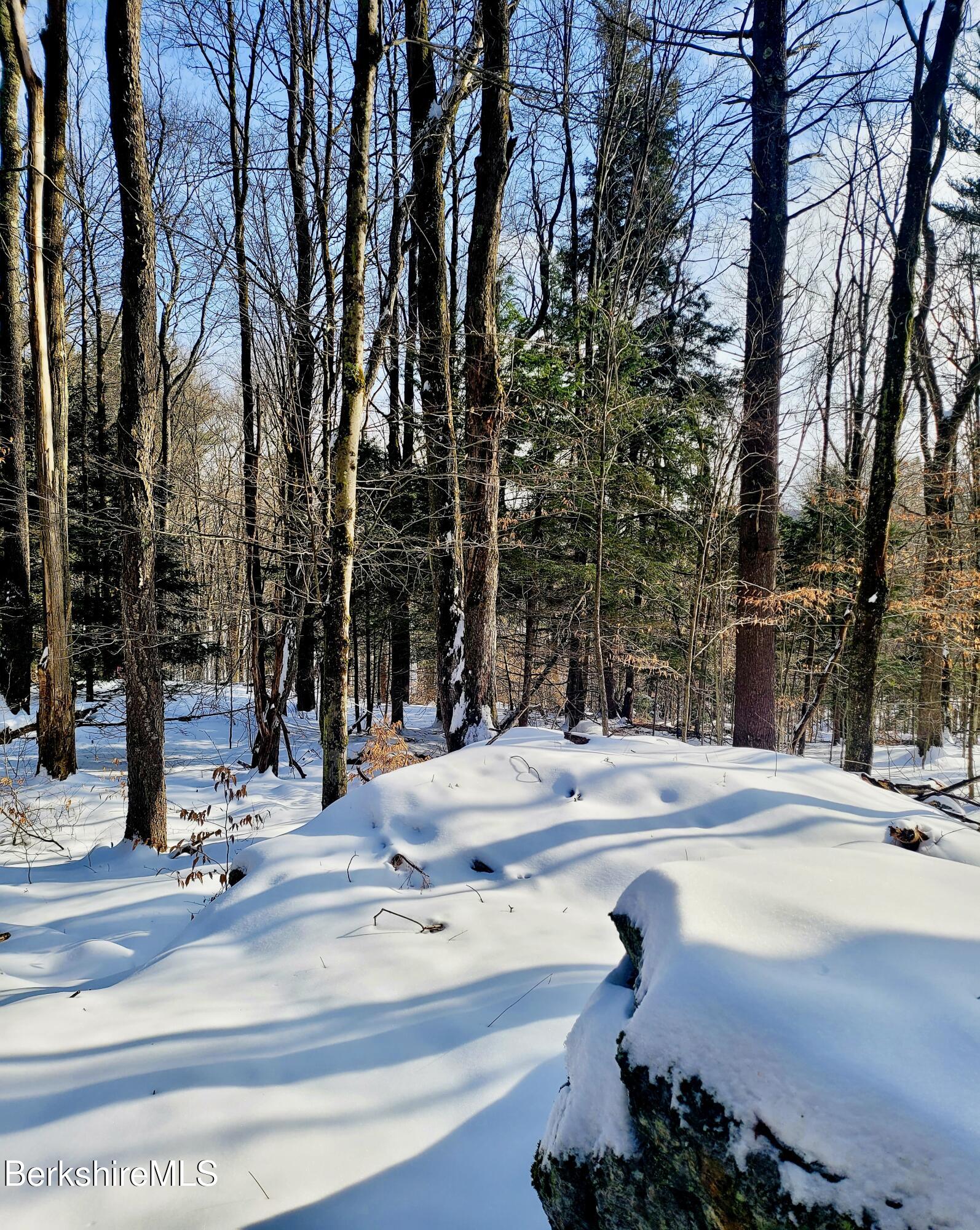 Lot 2 Leland Road Becket, MA 01223 - Photo 19 of 25 Interesting topography