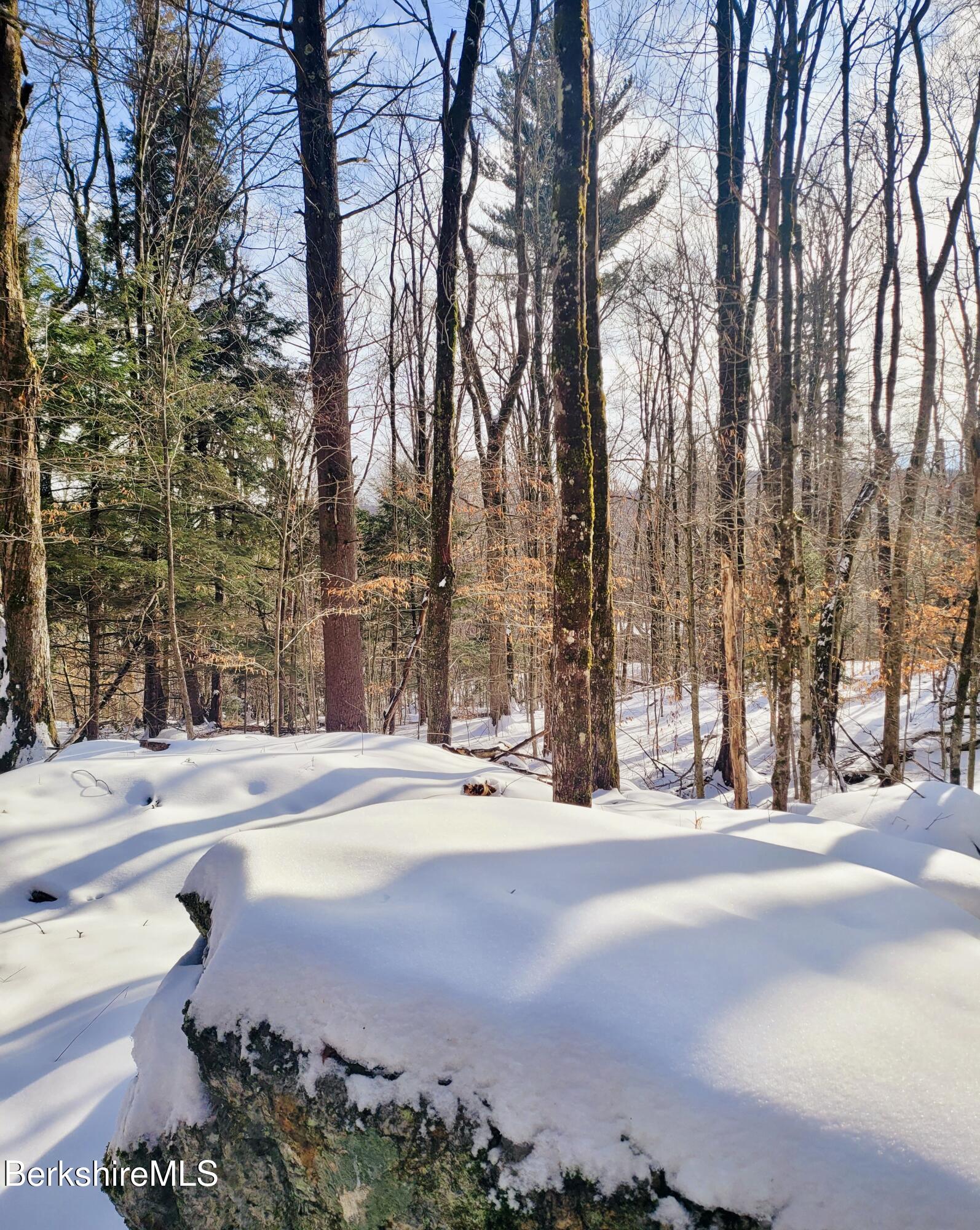 Lot 2 Leland Road Becket, MA 01223 - Photo 21 of 25 Mixed forest