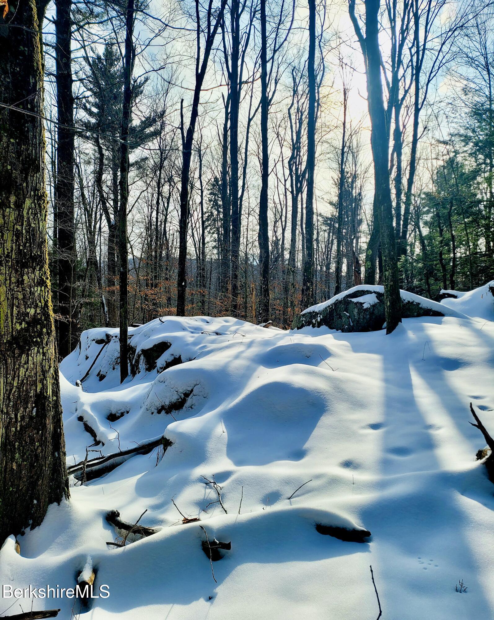 Lot 2 Leland Road Becket, MA 01223 - Photo 22 of 25 Seasonal distant views