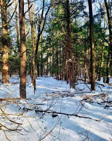 $150,000 | Lot 2 Leland Road, Becket, MA 01223