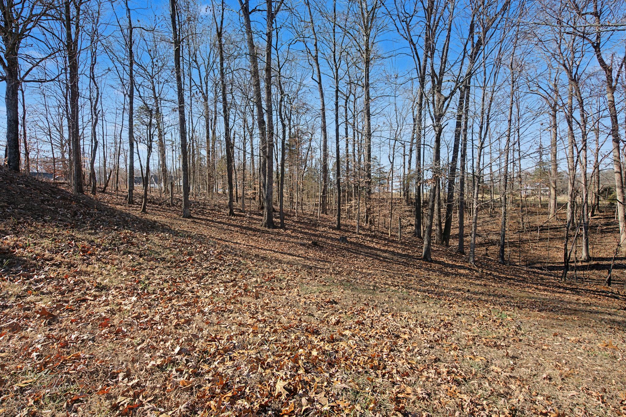 1075 Coker Ford Road Portland, TN 37148 - Photo 33 of 35 a view of a backyard of the house