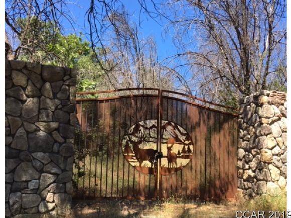 9040 Mountain Ranch Road Mountain Ranch, CA 95246 - Photo 1 of 10 Bespoke driveway gate protects the entrance