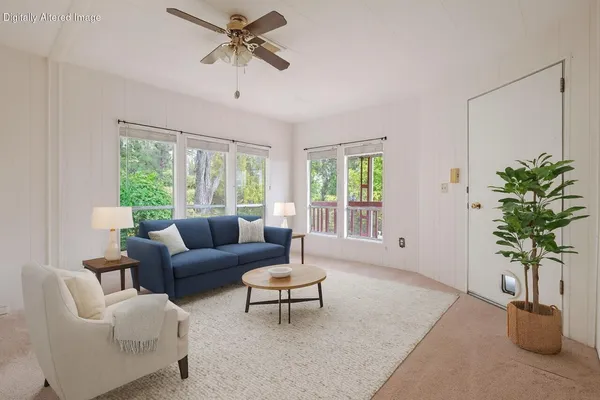 a living room with furniture and a potted plant