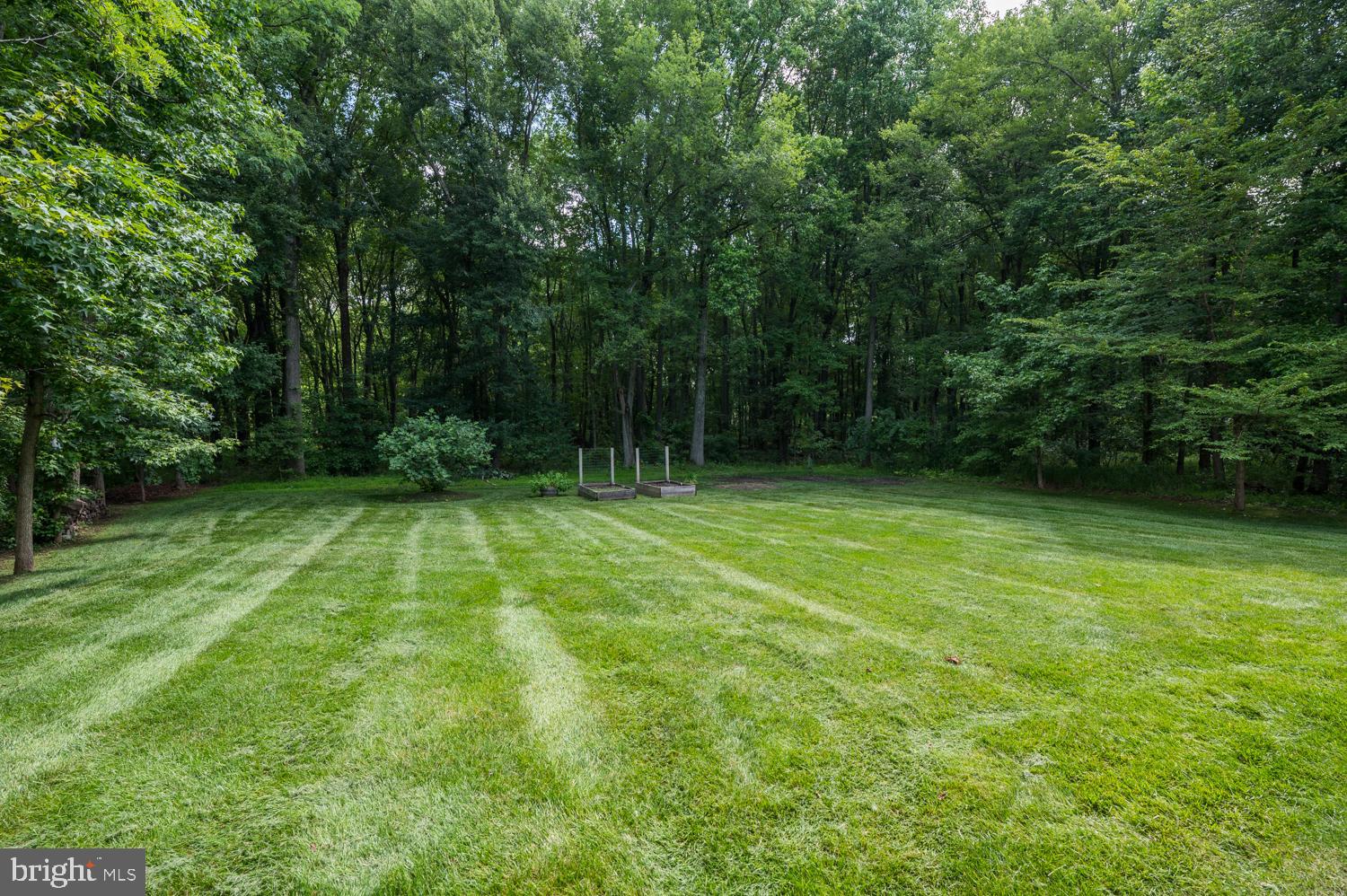11 Gaskill Road Mount Laurel, NJ 08054 - Photo 47 of 56 a view of backyard with green space