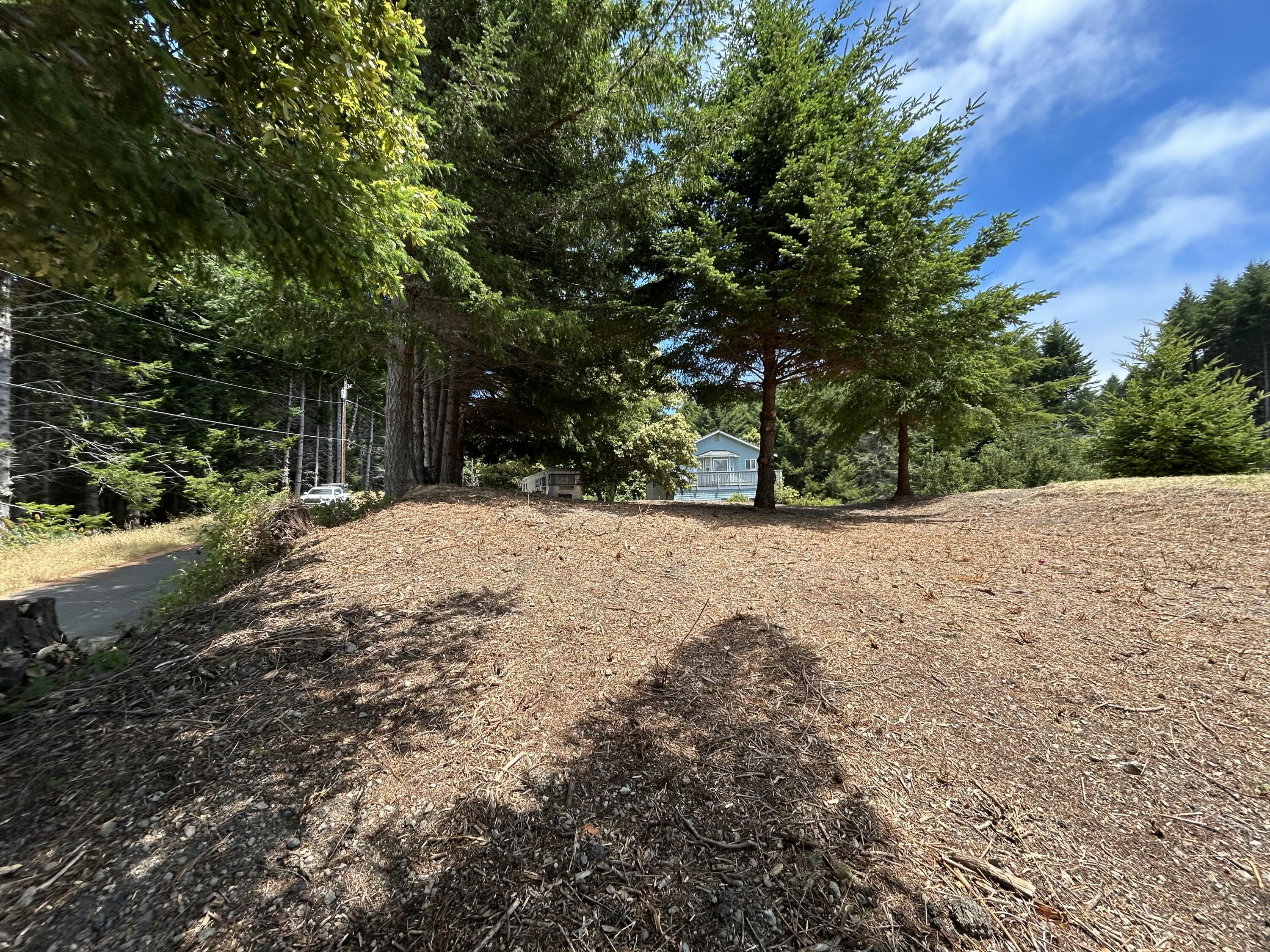 542-554 Ridge Road Shelter Cove, CA 95589 - Photo 13 of 20